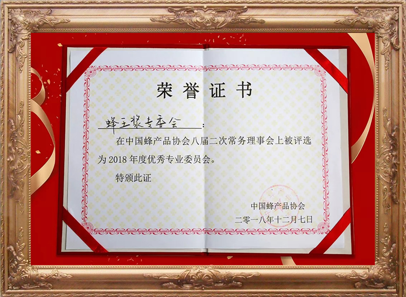 2018年度優(yōu)秀專(zhuān)業(yè)委員會(huì )