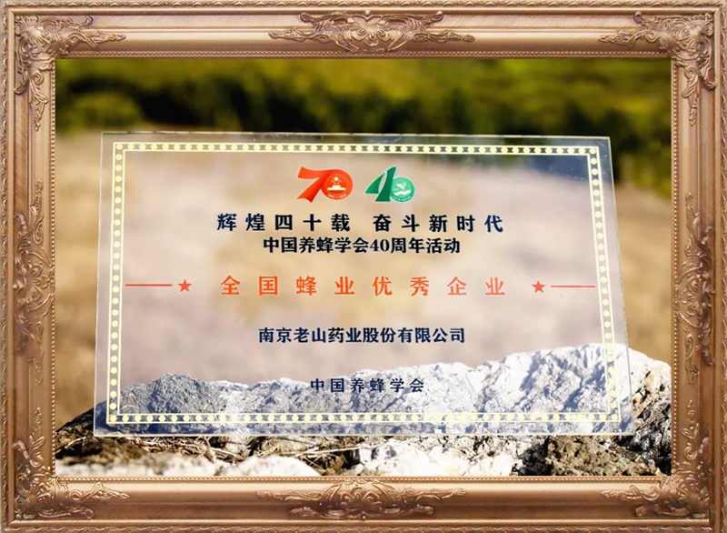 中國養蜂學(xué)會(huì )全國蜂業(yè)優(yōu)秀企業(yè)（1）