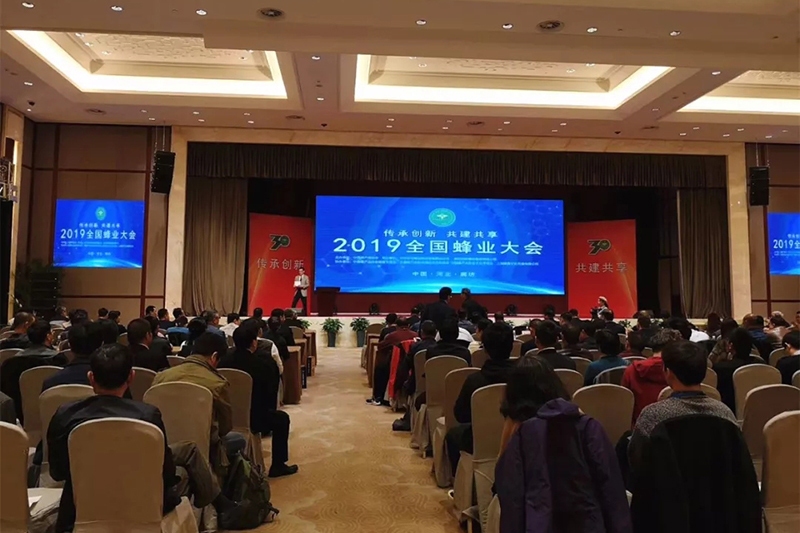 喜訊｜國資集團老山藥業(yè)獲評中國蜂產(chǎn)品協(xié)會(huì )“2019年度優(yōu)秀專(zhuān)業(yè)委員會(huì )”