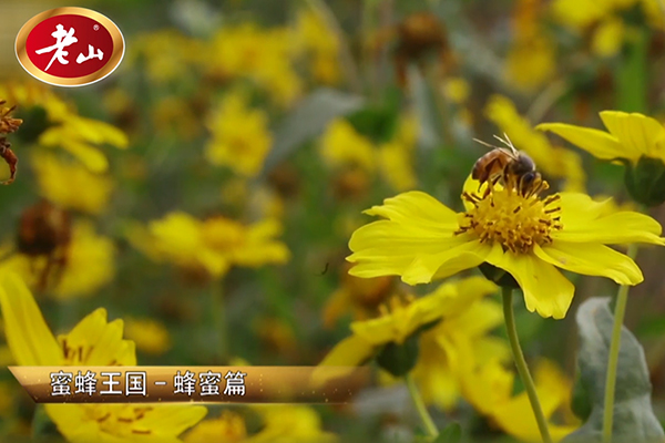 環(huán)保酵素專(zhuān)題片