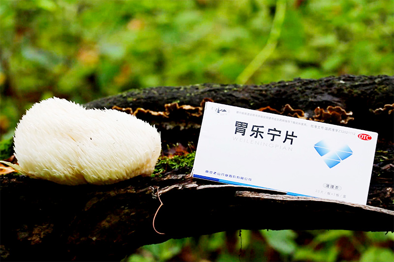 老山胃樂(lè )寧形象片入圍“金獅國際廣告影片獎”