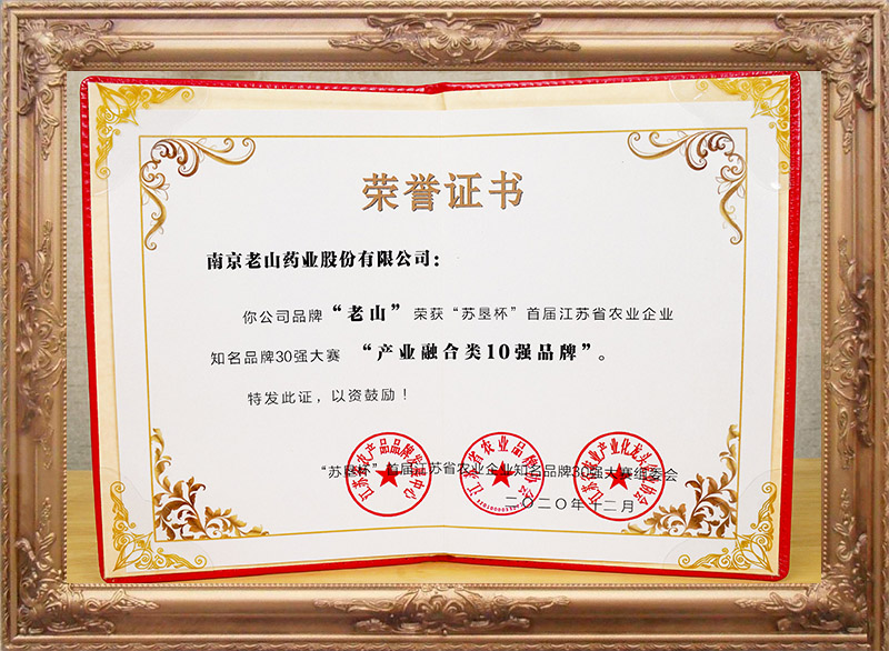 2020年12月產(chǎn)業(yè)融合類(lèi)10強品牌